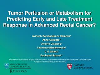 Tumor Perfusion or Metabolism for Predicting Early and Late Treatment Response in Advanced Rectal Cancer?