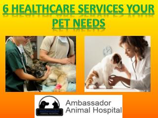 6 Healthcare services your pet needs