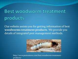 BEST WOODWORM TREATMENT PRODUCTS