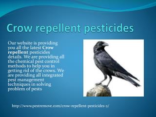 CROW REPELLENT PESTICIDES