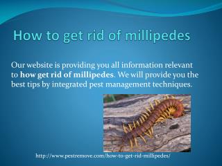 HOW TO GET RID OF MILLIPEDES