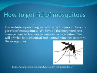 HOW TO GET RID OF MOSQUITOES