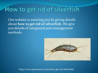 HOW TO GET RID OF SILVERFISH