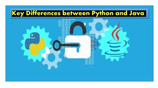 Key Differences between Python and Java