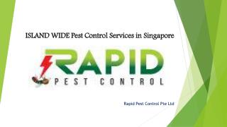 Island Wide Pest Control Services in Singapore