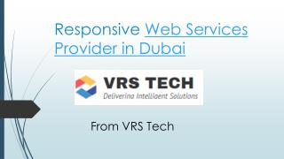 Web service provider Dubai â€“ Web Services Bur Dubai - VRS Tech