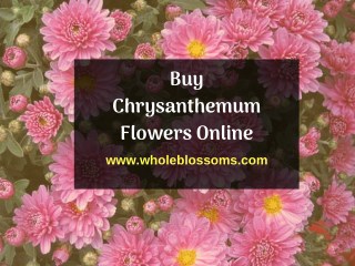 Find the Varieties of Pom Pom Flowers