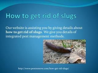 HOW TO GET RID OF SLUGS