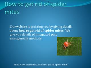 HOW TO GET RID OF SPIDER MITES