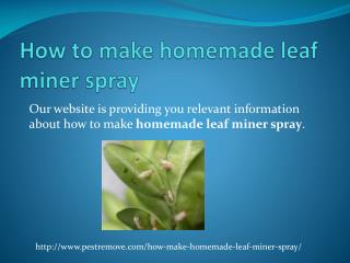 HOW TO MAKE HOMEMADE LEAF MINER SPRAY