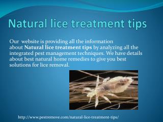 NATURAL LICE TREATMENT TIPS