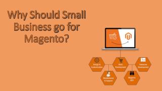 Why Should Small Business go for Magento?