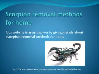 SCORPION REMOVAL METHODS FOR HOME