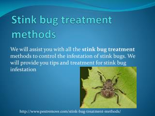 STINK BUG TREATMENT METHODS