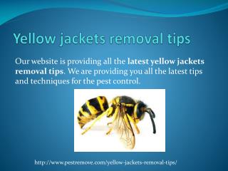 YELLOW JACKETS REMOVAL TIPS