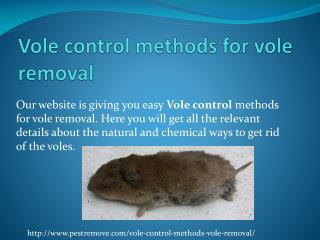 VOLE CONTROL METHODS FOR VOLE REMOVAL