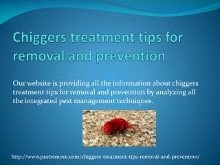 CHIGGERS TREATMENT TIPS FOR REMOVAL AND PREVENTION