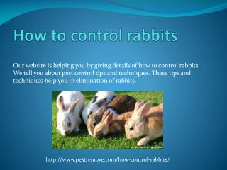 HOW TO CONTROL RABBITS