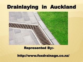 Drainlaying in Auckland
