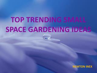 Top Trending Small Space Gardening Ideas