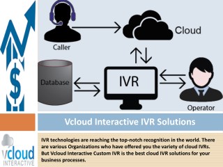 Custom IVR solutions easily satisfying your customer needs