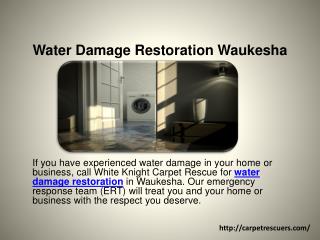 Water Damage Restoration Waukesha