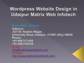 Wordpress Website Design in Udaipur Matrix Web Infotech