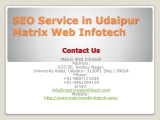 SEO Service in Udaipur Matrix Web Infotech