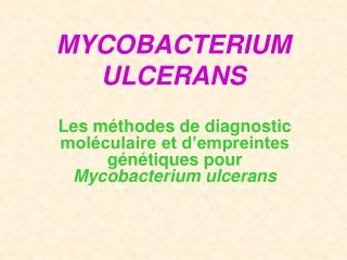 MYCOBACTERIUM ULCERANS