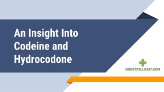 An Insight Into Codeine and Hydrocodone