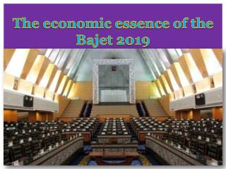 The economic essence of the Bajet 2019