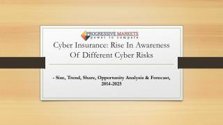 Cyber Insurance Market: Global Opportunities & Industry Forecast 2025