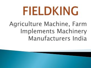 3 Point Subsoiler - Fieldking