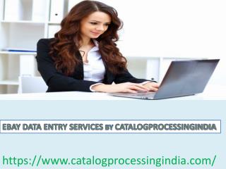 eBay Product Listing and Catalog Processing Services