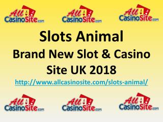 Slots Animal - Brand New Slot & Casino Site UK 2018