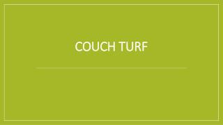Couch Turf