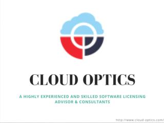 Software License Negotiation - Cloud Optics