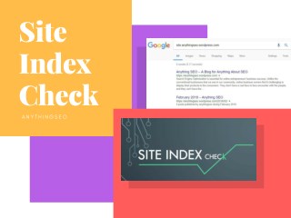 Site Index Check