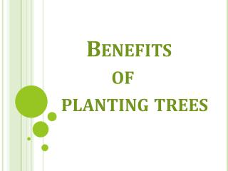 Benefits of planting trees