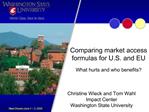 Comparing market access formulas for U.S. and EU What hurts and who benefits