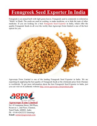Best Fenugreek Seed Exporter In India