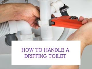 How to Handle a Dripping Toilet?