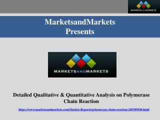 Detailed Qualitative & Quantitative Analysis on Polymerase Chain Reaction