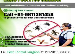 Pest Control Gurgaon