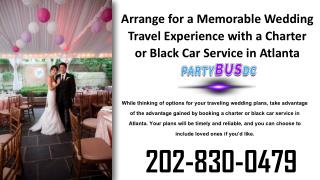 DC Party Bus Rental