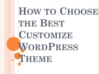 Think Before Choosing the Ideal Customize WordPress Theme