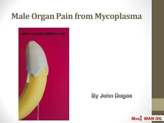 Male Organ Pain from Mycoplasma