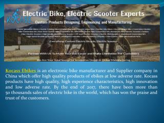Best Electric Bicycle in China