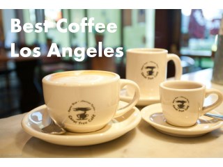Best Coffee Los Angeles- Coraltreecafe.com