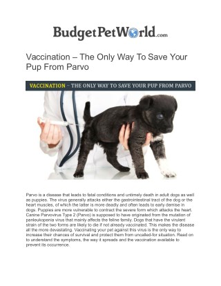 How to Save your dog from Parvo Virus